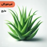اسانس آلوئه‌ورا مایع آرایشی‌ بهداشتی‌ (‌غیر خوراکی‌)