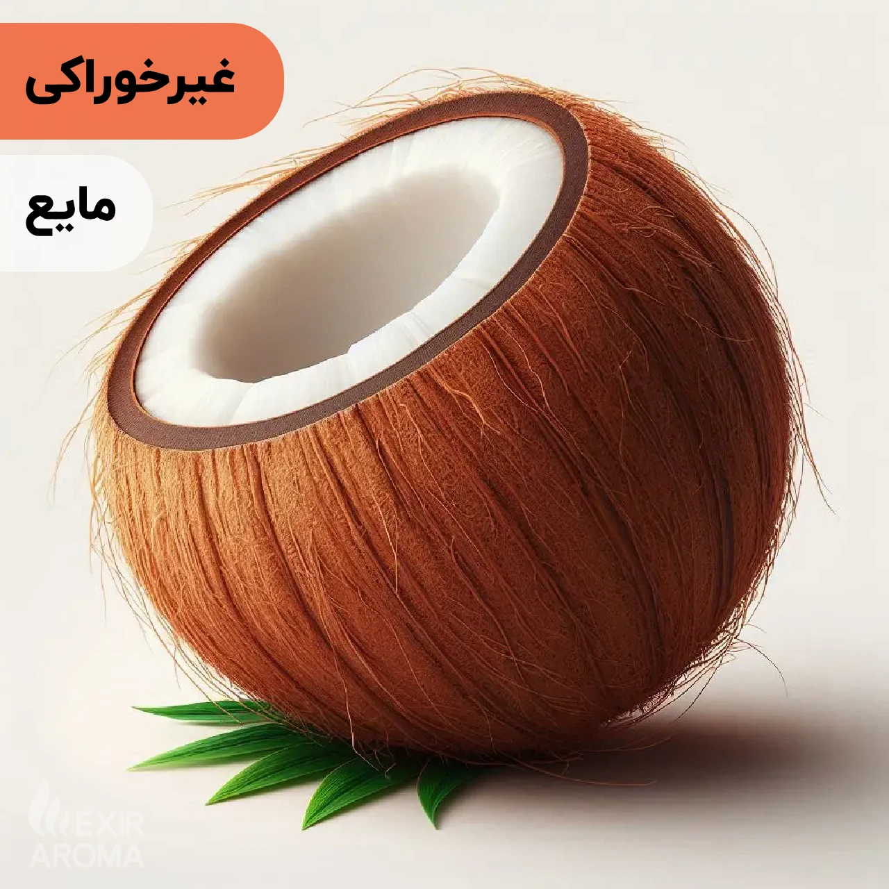 Coconut Fragrance Oil – Cosmetic-Grade اسانس نارگیل مایع آرایشی بهداشتی (غیر خوراکی) - Image 1