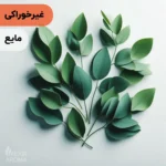 اسانس اکالیپتوس مایع آرایشی‌ بهداشتی‌ (‌غیر خوراکی‌)