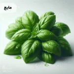 اسانس ریحان مایع خوراکی