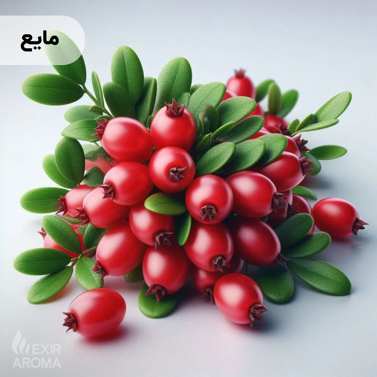 Liquid Berberry Flavor - Edible اسانس زرشک مایع خوراکی - Image 1