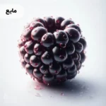 اسانس شاتوت مایع خوراکی