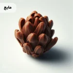 اسانس میخک مایع خوراکی