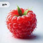 اسانس تمشک رنگی مایع خوراکی