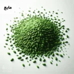 اسانس زیره سبز مایع خوراکی