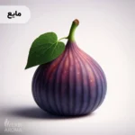 اسانس انجیر مایع خوراکی