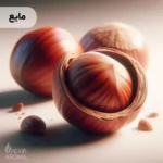 اسانس فندق مایع خوراکی