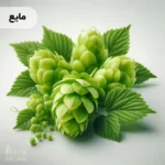 اسانس رازک مایع خوراکی