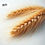 اسانس مالت مایع خوراکی