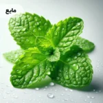 اسانس نعناع فلفلی مایع خوراکی