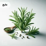 اسانس رزماری مایع خوراکی
