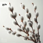 اسانس بیدمشک مایع خوراکی