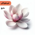 اسانس گل مگنولیا مایع آرایشی‌ بهداشتی‌ (‌غیر خوراکی‌)