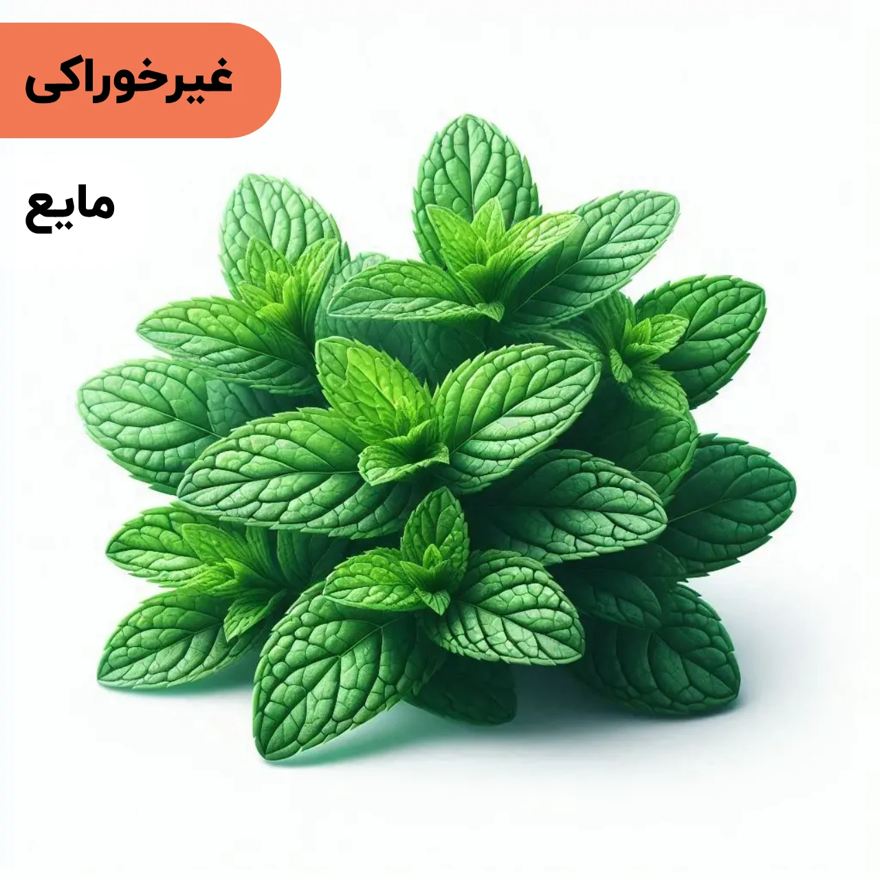 Mint Fragrance Oil – Cosmetic-Grade اسانس نعناع مایع آرایشی بهداشتی (غیر خوراکی) - Image 1