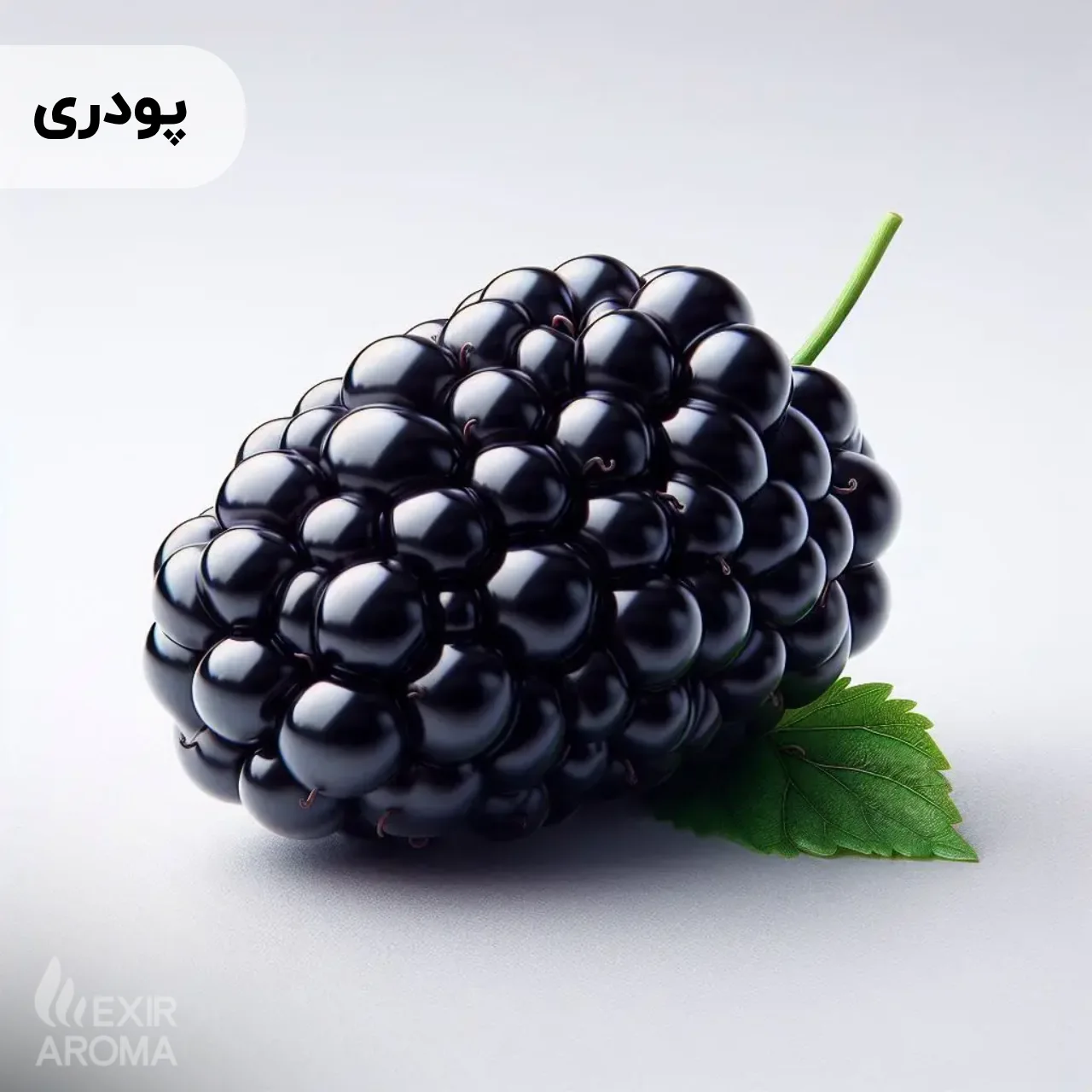 Powdered Black Mulberry Flavor - Edible اسانس شاتوت پودری خوراکی - Image 1