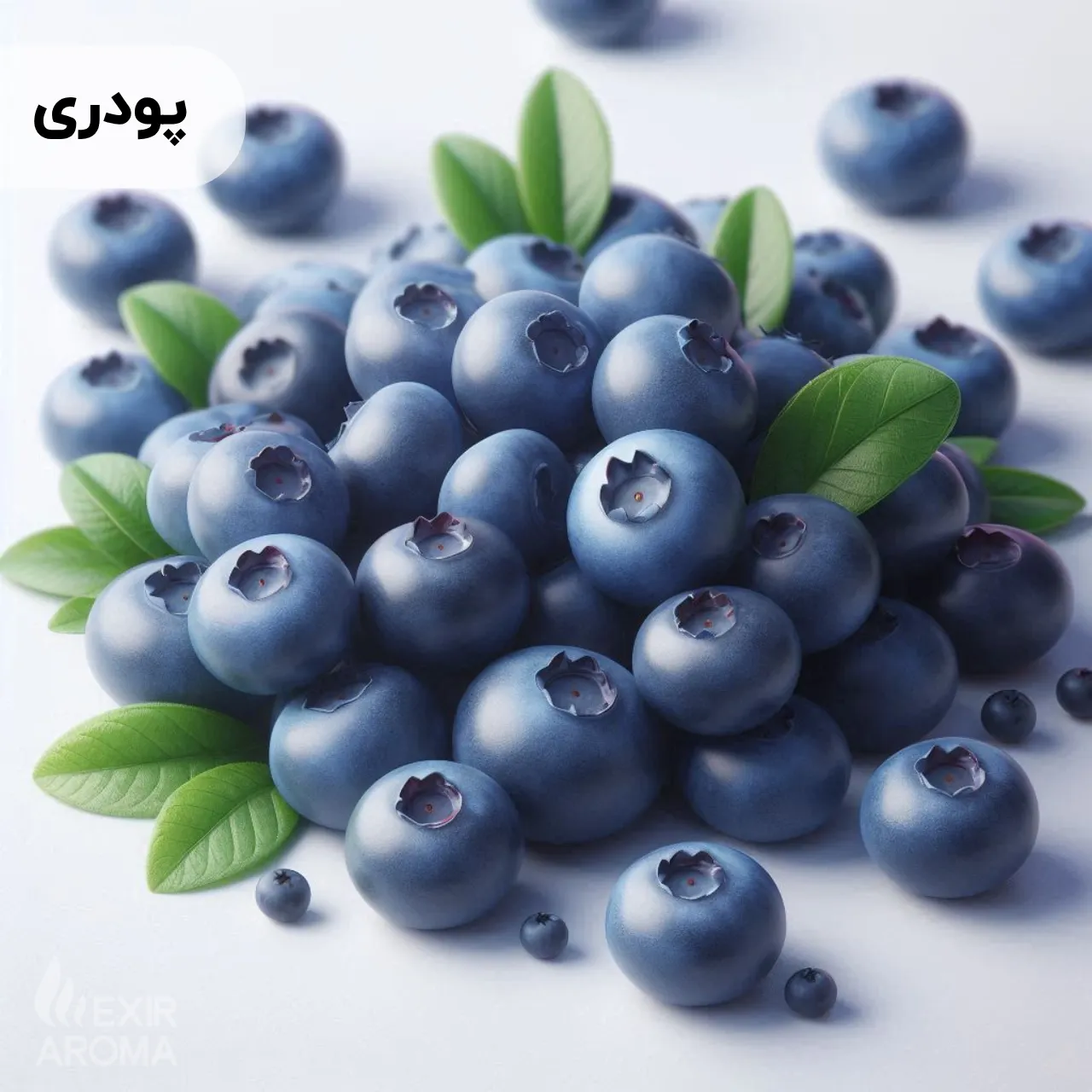Powdered Blueberry Flavor - Edible اسانس بلوبری پودری خوراکی - Image 1