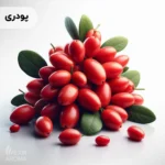 اسانس ذغال‌اخته پودری خوراکی