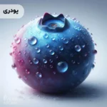 اسانس بلوبری اگزوتیک پودری خوراکی