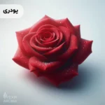 اسانس رز پودری خوراکی