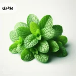 اسانس نعناع تند پودری خوراکی