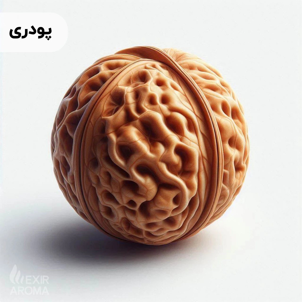 Powdered Walnut Flavor - Edible اسانس گردو پودری خوراکی - Image 1