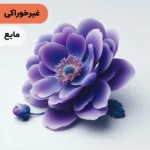 اسانس گل بنفشه مایع آرایشی‌ بهداشتی‌ (‌غیر خوراکی‌)