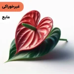 اسانس گل فلامینگو مایع آرایشی‌ بهداشتی‌ (‌غیر خوراکی‌)