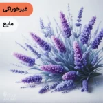 اسانس اسطوخودوس مایع آرایشی‌ بهداشتی‌ (‌غیر خوراکی‌)