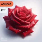 اسانس گل رز مایع آرایشی‌ بهداشتی‌ (‌غیر خوراکی‌)
