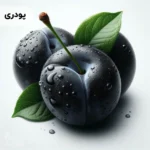 اسانس آلو سیاه پودری خوراکی