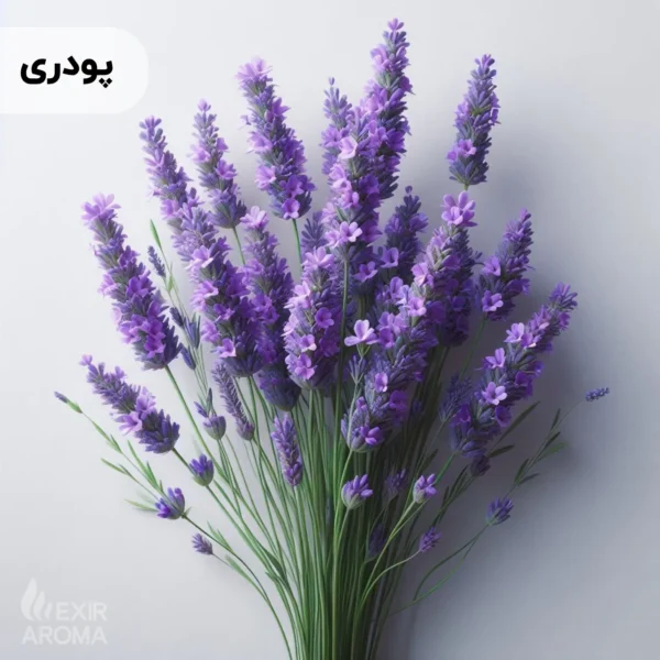 اسانس اسطوخدوس پودری خوراکی