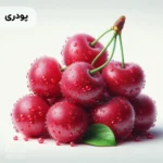 اسانس آلبالو پودری خوراکی